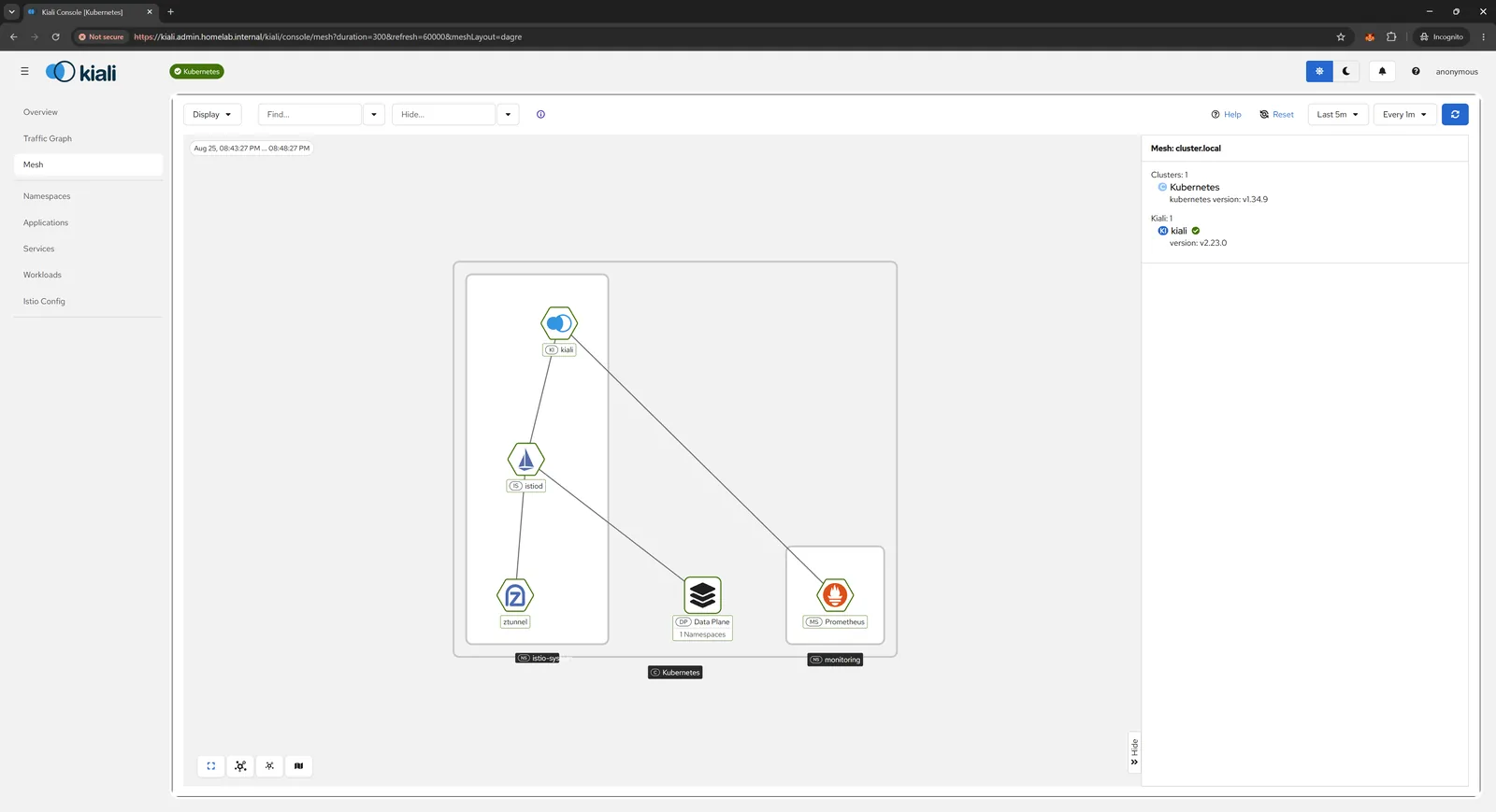 Kiali workload detail view with traffic metrics