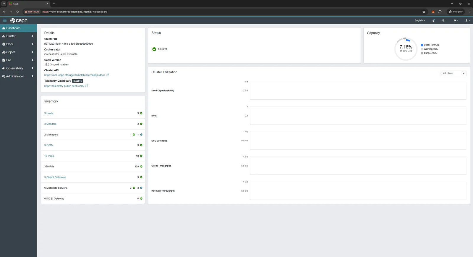 Rook-Ceph dashboard showing cluster health status